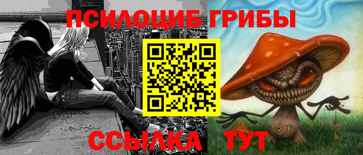 Псилоцибиновые грибы ЛСД Тобольск